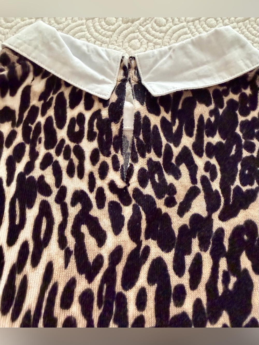 Cable & Gauge Leopard Sweater Top w/ White Cotton Collar Black Cream Ladies Med - Picture 7 of 12